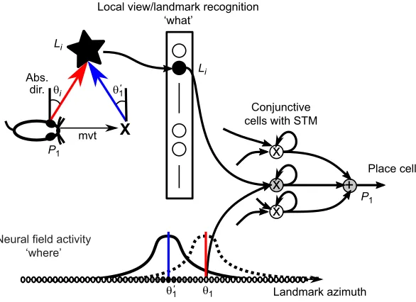 Fig. 1. Visual place cell from the merging of ‘decrease in the landmark recognition.according to an absolute referential;with the recognition of landmarkwhat’ and‘where’ information