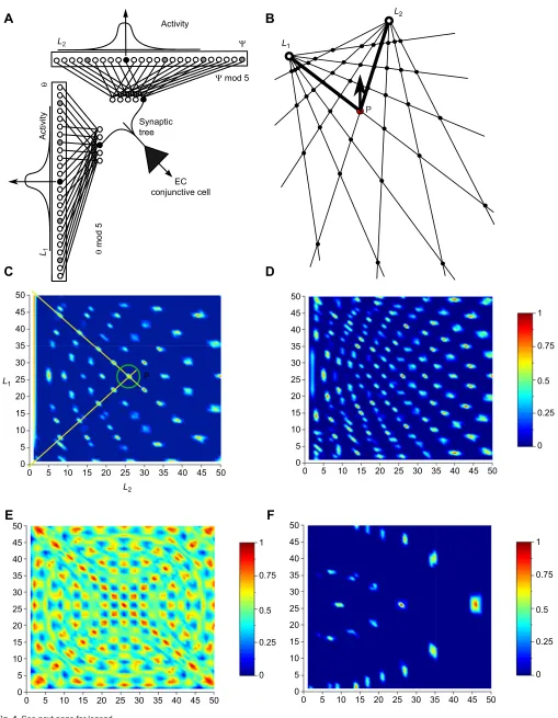Fig. 4. See next page for legend.