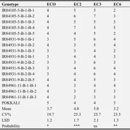 Table 3. Tillering ability of genotypes in the four experiments. 