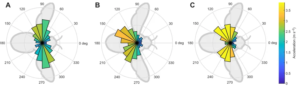 Fig. 3. Rose histogram of the total acceleration with respect to the long body axis among all flights at different sections of the flight tunnel