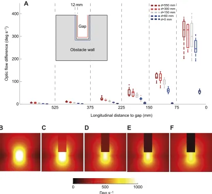 Fig. 4. Optic flow within the gap. (A) The mean of the absolute difference in total optic flow across the inside (red line in inset) and outside edge of the gap (blueoptic flow over the wall containing the gap when<75 mm from the gap