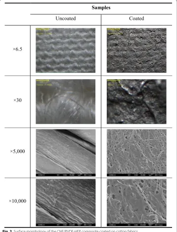 Fig. 2 Surface morphology of the CNF/PVDF-HFP composite coated on cotton fabrics