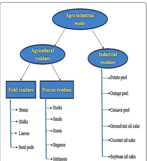 Fig. 1 Agro-industrial wastes and their types