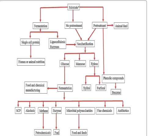 Fig. 3 Schematic representation of applications of different substrates