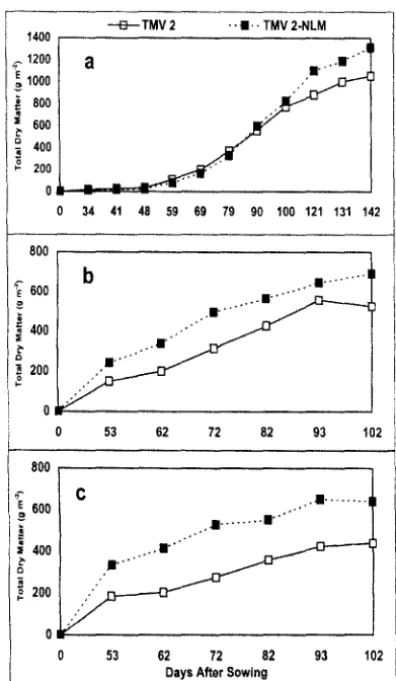 Table 2. Yields (t ha·1) ofTMV 2 and TMV2 NLM grown under irrigated (Tl) and water deficit conditions (T2) duringtwo seasons at ICRISA T centre.