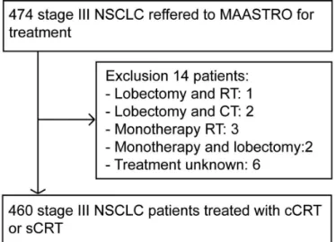 Table 1  Patient characteristics (n=460)