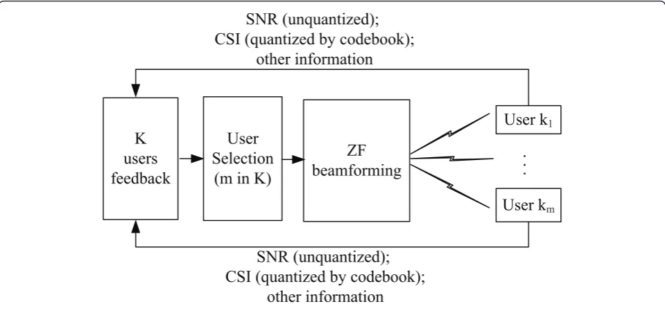 Figure 1 Downlink MU-MIMO system.