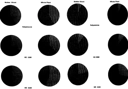 Fig. 1. Per cent reduction in grain yield in contrasting wheatgenotypes under late sown over normal sown conditions