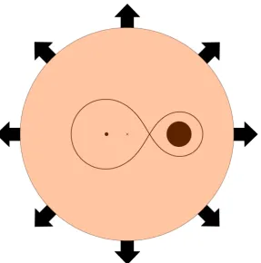 Figure 1.2: Schematic representation of the common envelope phase. The core of theevolved star (black dot in the larger Roche lobe) and the less massive main sequencestar (large ﬁlled circle in the smaller lobe) orbit around the centre of mass of the syste