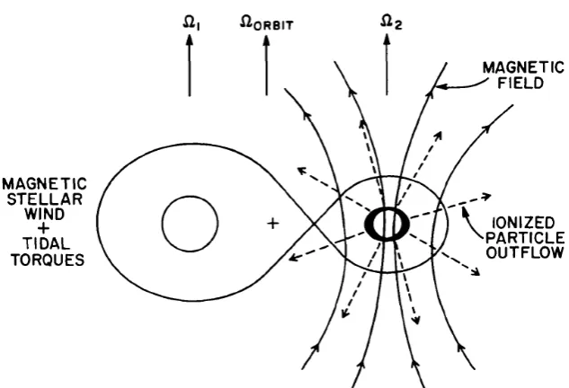 Figure 1.3: Schematic view of magnetic braking in close binary systems.Ionisedparticles are forced to ﬂow along the magnetic ﬁeld lines, before being released at largedistances from the star, carrying away angular momentum