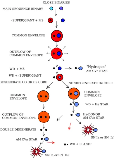 Figure 1.13: The basic steps of AM CVn formation and evolution for each of the threechannels