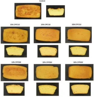 Figure 1 Surface and cross section of(2016). [Colour ﬁgure can be viewed atgluten-free cakes containing 0% (control),10%, 20% and 30% carrot pomace powderwith particle size of 210 lm (CPP 210) and500 lm (CPP 500)