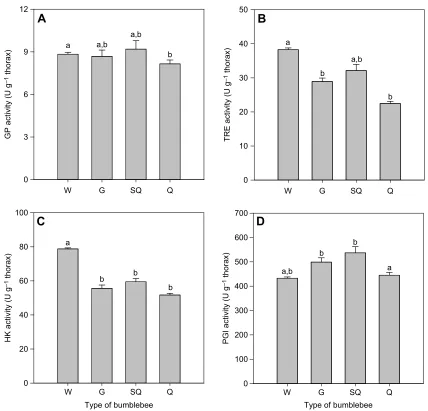 Fig. 5. Flight muscle enzyme activity differs between worker and queen bumblebees. Comparison of mean (±s.e.m.) (A) GP, (B) TRE, (C) HK andtypes of bees (W, G, SQ and Q) were determined using mixed-effects models including the fixed effects population of o