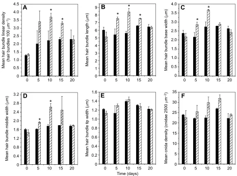 Fig. 7. Flow responses with increased duration of flow and reversibility with cessation of flow