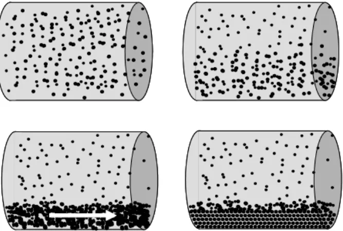 Figure 3  (Top Left)  Homogeneous flow  (Top Right)   Heterogeneous flow – full suspended particles (Bottom  Left)  Heterogeneous flow – moving bed  (Bottom Right)   Heterogeneous flow – stationary bed 