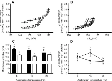 Fig. 6. Thermal acclimation and population effects on liver mitochondrial proton leak kinetics in Fundulus heteroclituscurves from northern and (B) southern killifish acclimated to 5°C (black circles, solid line), 15°C (white squares, dashed line) and 25°C
