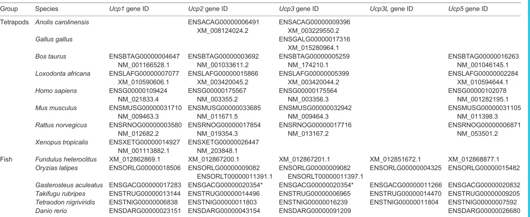 Table 1. Accession numbers for gene sequences used in phylogenetic analyses