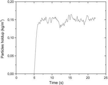 Fig. 4. Typical time profile of particles holdup inside the pipe.