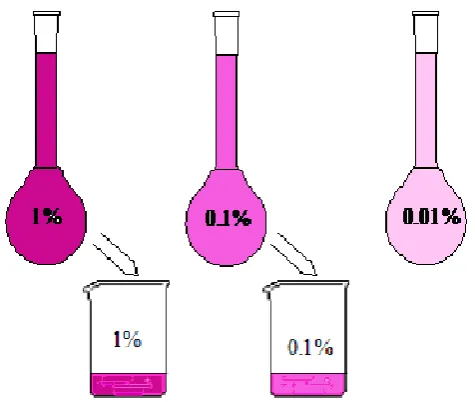 Fig. 1. Bench layout at the end of the above demonstration. Labels of solutions are the ones declared as being the actual ones to the junior high school students attending