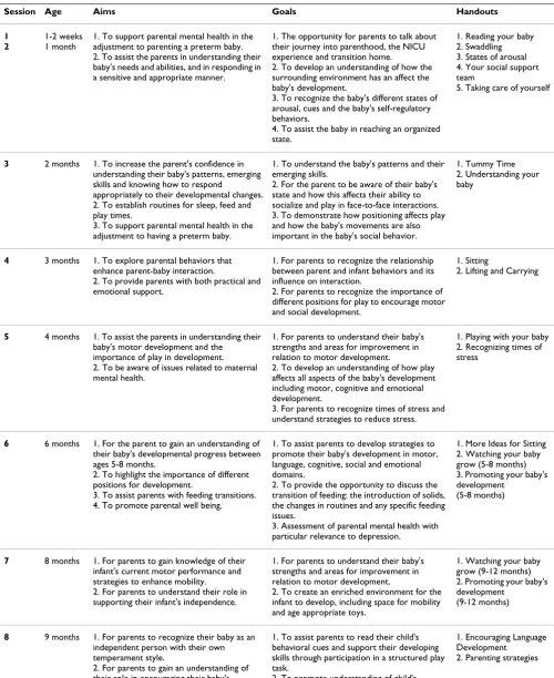 Table 1: VIBeS Plus intervention program