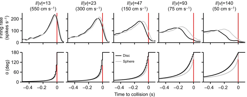 Fig. 4. Effects of object shape on DCMD responses to looming. The top row of plots shows the mean PSTH in response to approaches at five valuesof l/|v| (and corresponding velocity in cm s−1)
