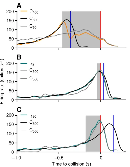 Fig. 7. Overlays of DCMD responses to a velocity decrease or increasewith time-adjusted responses to associated constant velocities.shaded regions represent the time that the sphere approached atthe final velocity and the red vertical line is the associate