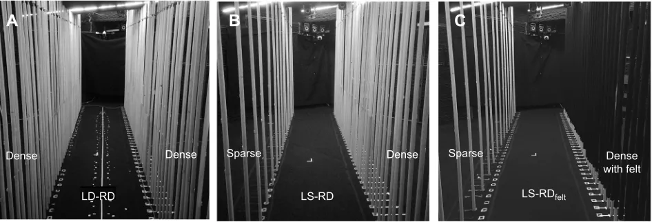 Fig. 1. Photographs of selected conditions for behavioral data collection. (A) Experimental setup of the left dense, right dense (LD-RD) condition.(B) Experimental setup of the left sparse, right dense (LS-RD) condition