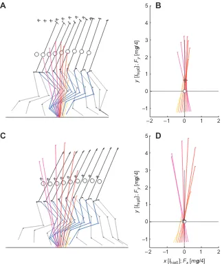 Fig. 3. Kinematics and ground reaction forces.(A,C) Sagittal projection of stick figures with groundduty factor: 0.48;0.63;reaction forces change from magenta to yellow with time.Single trials of Ku