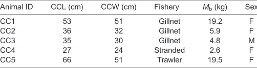 Table 1. Morphometric data from loggerhead sea turtles used in thestudy