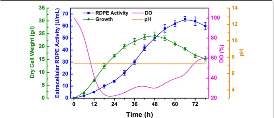 Table 1 Stability of dal-based and neo-based plasmids in different medium