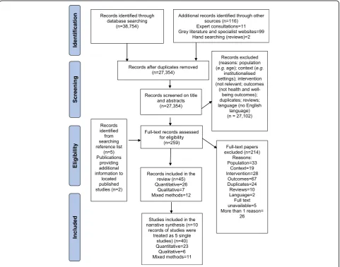 Fig. 1 PRISMA flow diagram of the study selection process