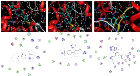 Figure 4. Diagram of interactions (enzyme-ligands) 3 complex (4a, 4b, 4c). 