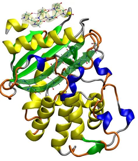 Figure 8: A picture of a protein with the diﬀerent structures present: β −lactamase: α−helixin yellow (long helices), 3-10 helix in blue (short helices), β −sheet in green, turns in orange,random coil in grey
