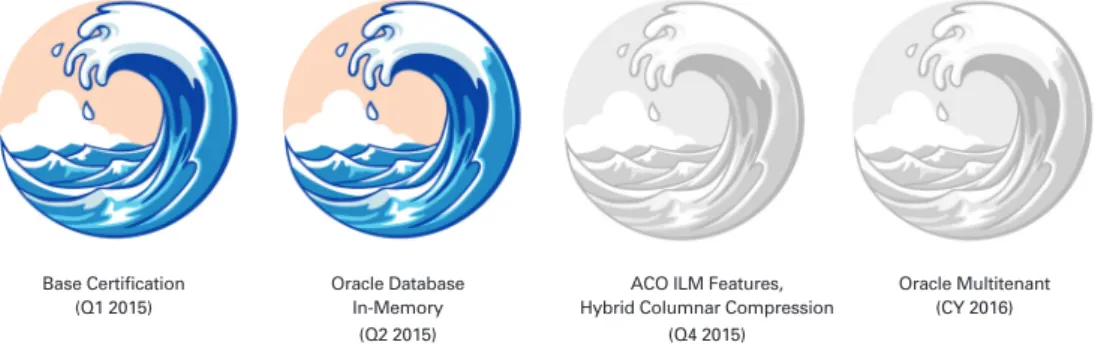 Figure 1: Oracle Database 12c for SAP Certification Roadmap*