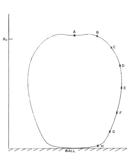 Fig. 11 Bubble Surface from Case I a t 