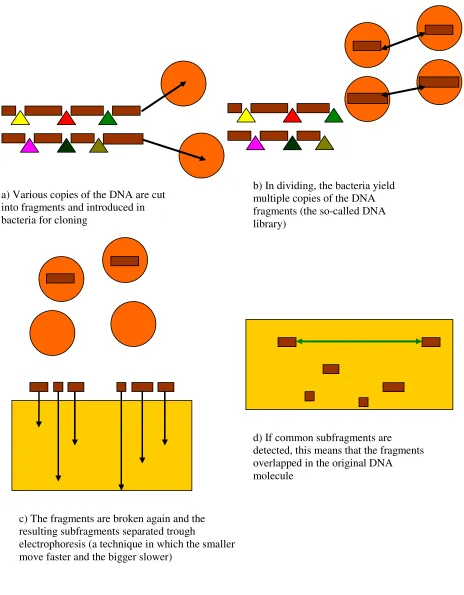 Figure 4. The ‘fingerprinting’ mapping technique 