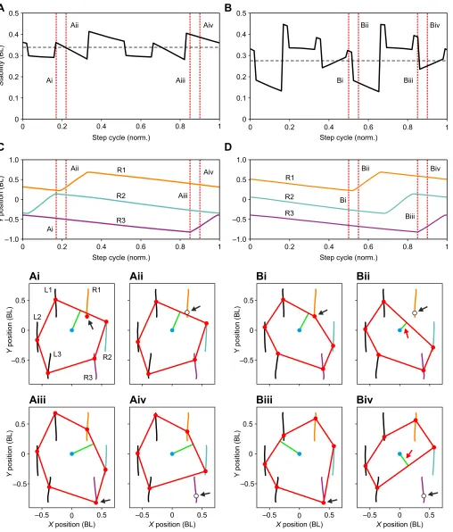 Fig. 7. Anteriorly directed swing phase progression (AD SPP) is more stable. (A,B) Static stability over one normalized step cycle during AD SPP (A;interest are indicated by red dashed lines (see corresponding panels)