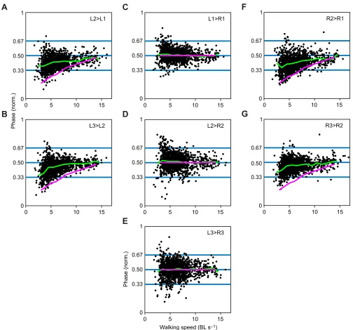 Fig. 8. Phase relationships measured during experiments and predicted phases as a function of walking speed (new data and data from Wosnitza et al.,2013)reference leg (e.g