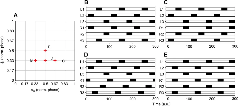 Fig. 4. Hypothetical inter-leg coordination patterns (ICPs). Each combination ofin walking fruit flies and is also predicted as more stable than the ideal tetrapod ICP (see Results)