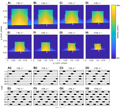 Fig. 5. Model-derived static stability and corresponding ICPs. (Ai–Hi) Each combination of φI and φC is associated with a particular stability at a particularwalking speed (here, 3 to 10 BL s−1)