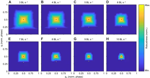 Fig. 6. Model-derived robustness. (Ahighest static stability are indicated by white circles (also see Fig