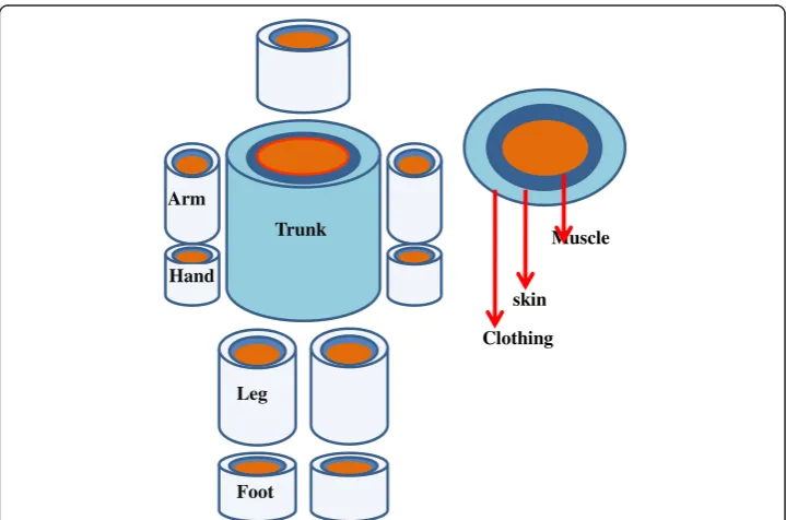 Figure 1 Construction of human body cylinder and muscle-skin-clothing layer model.