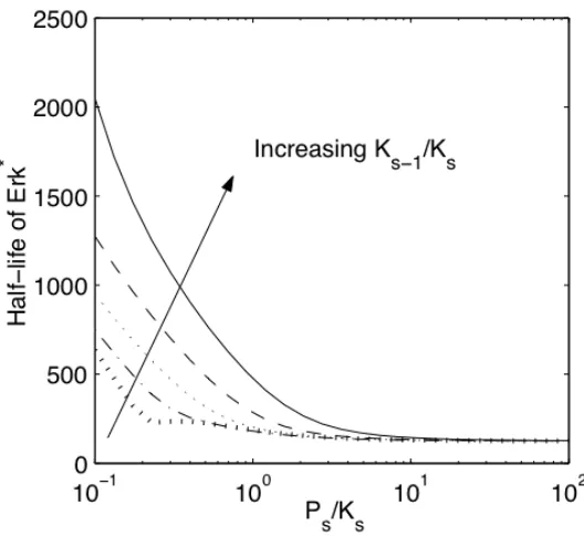 Figure II-9. Half-life of Erk signal in response to an exponential decay in input. 
