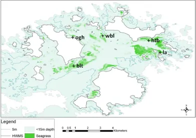 Figure 3.3: Final distribution of eelgrass produced from the 2008 mapping study.The ﬁve sites that have been regularly surveyed by dive teams are also highlightedwith key:blt- Broad Ledges Tresco; htb- Higher Town Bay; la- Little Arthur; ogh-Old Grimsby Ha