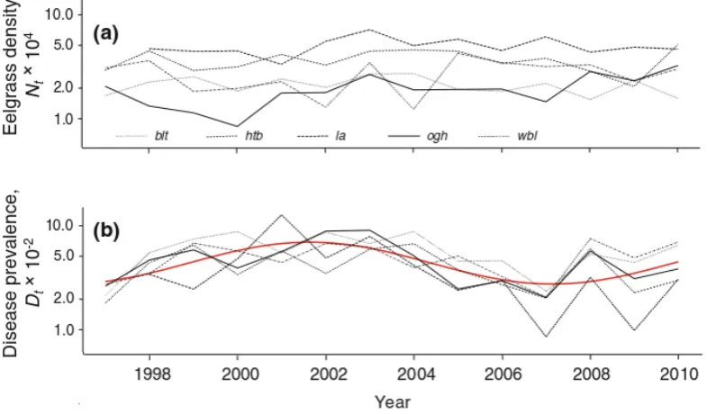 Figure 3.5: Data produced from dive survey for 1998-2008. (a) The overall densitiesof eelgrass for each site