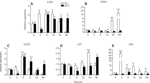 Fig. 7. Expression levels of HSP genes in the liver of Q. spinosa** under cold and heat stress at different time points