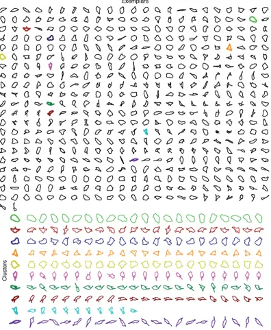 Figure 3.5: Aﬃnity Propagation Exemplars. This ﬁgure shows the result ofAﬃnity Propagation clustering on 37818 RPE1 cell shapes
