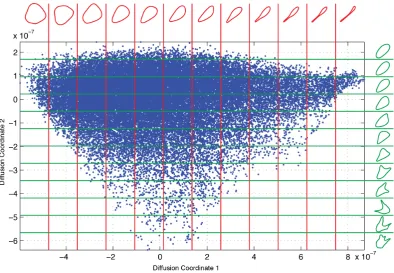 Figure 4.1: Axis phenotypes. This ﬁgure provides a coarse look at the shape fea-tures captured by each of the ﬁrst two Diﬀusion coordinates