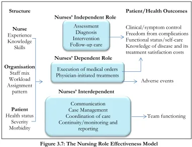 Figure 3.7: The Nursing Role Effectiveness Model (Doran et al. (201)) 
