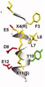 Figure 1.3 |  Solution structure of a stapled peptide, hydrocarbon tether shown in yellow.137 